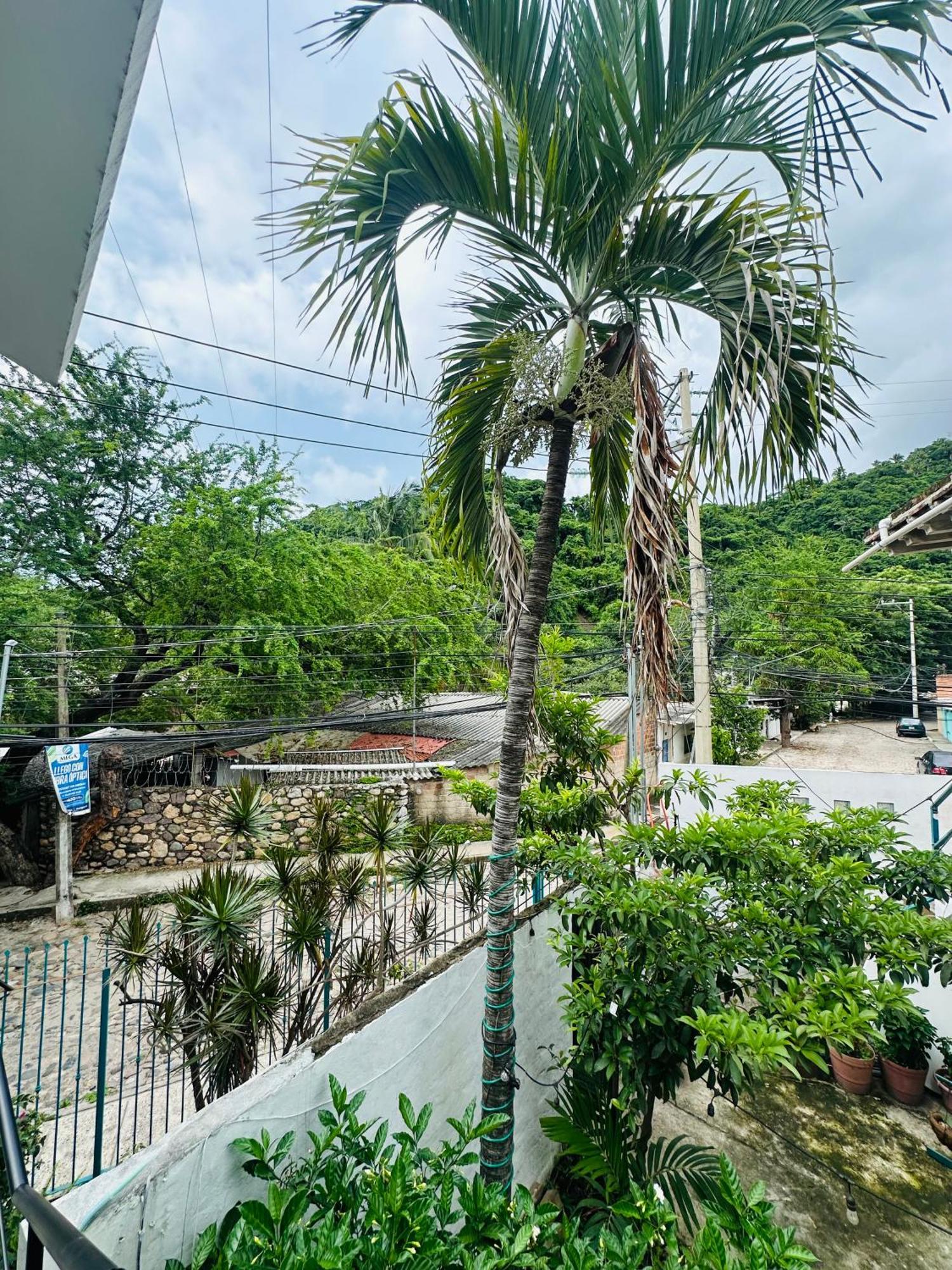 Apartamento Loft Rio Puerto Vallarta Exterior foto